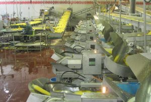 Industrial Auction News 744