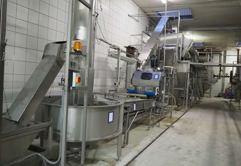 Food processing store equipment auction