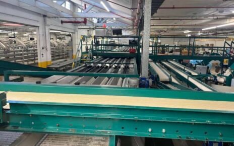 Fruit Processing Equipment for Sale