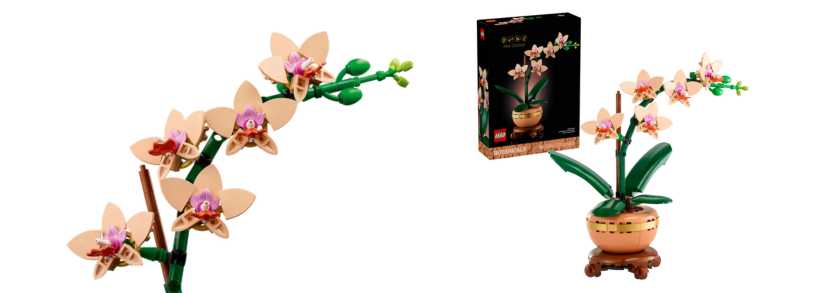 LEGO Botanicals Mini Orchid (10343)